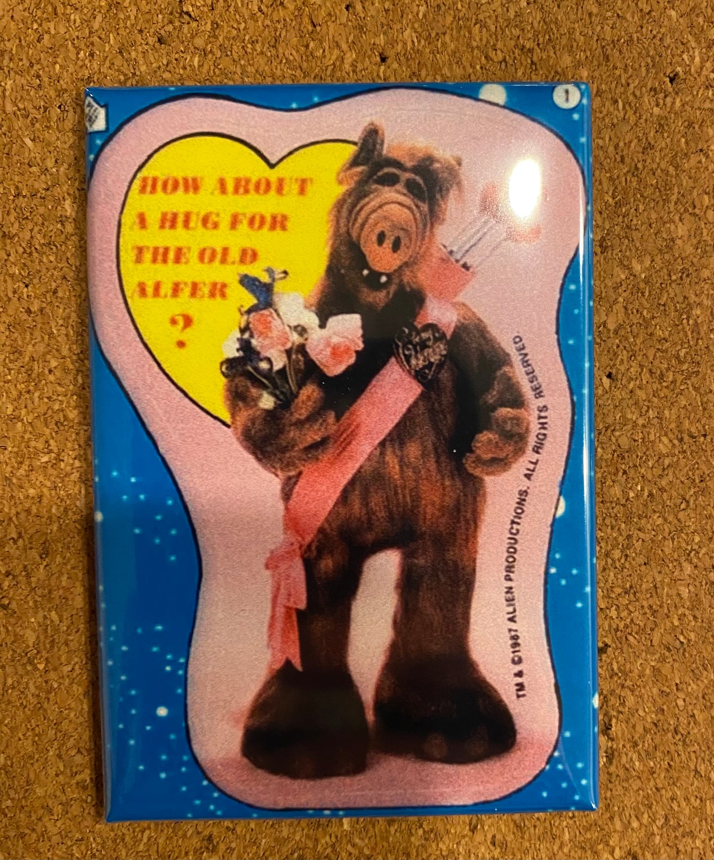 Valentine's Day Magnets - Multiple Designs