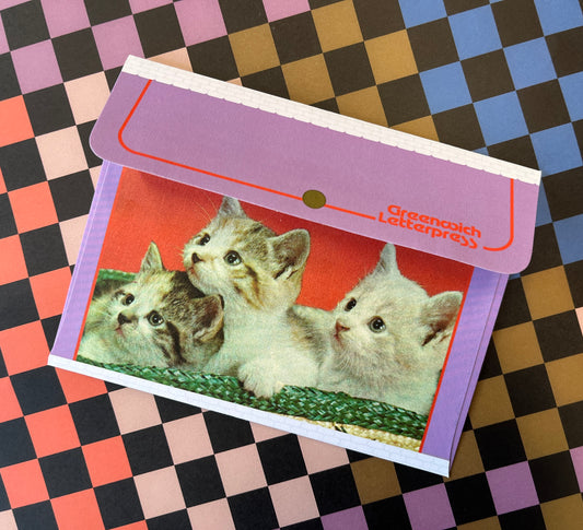 Basket of Kittens card