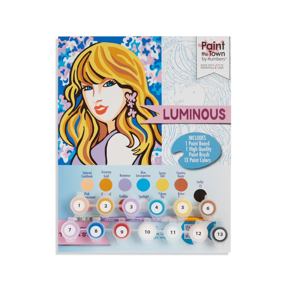 Taylor Swift Paint by Number Kit