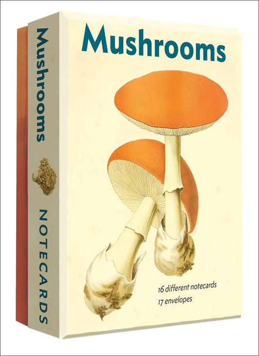 Mushrooms Notecards Set
