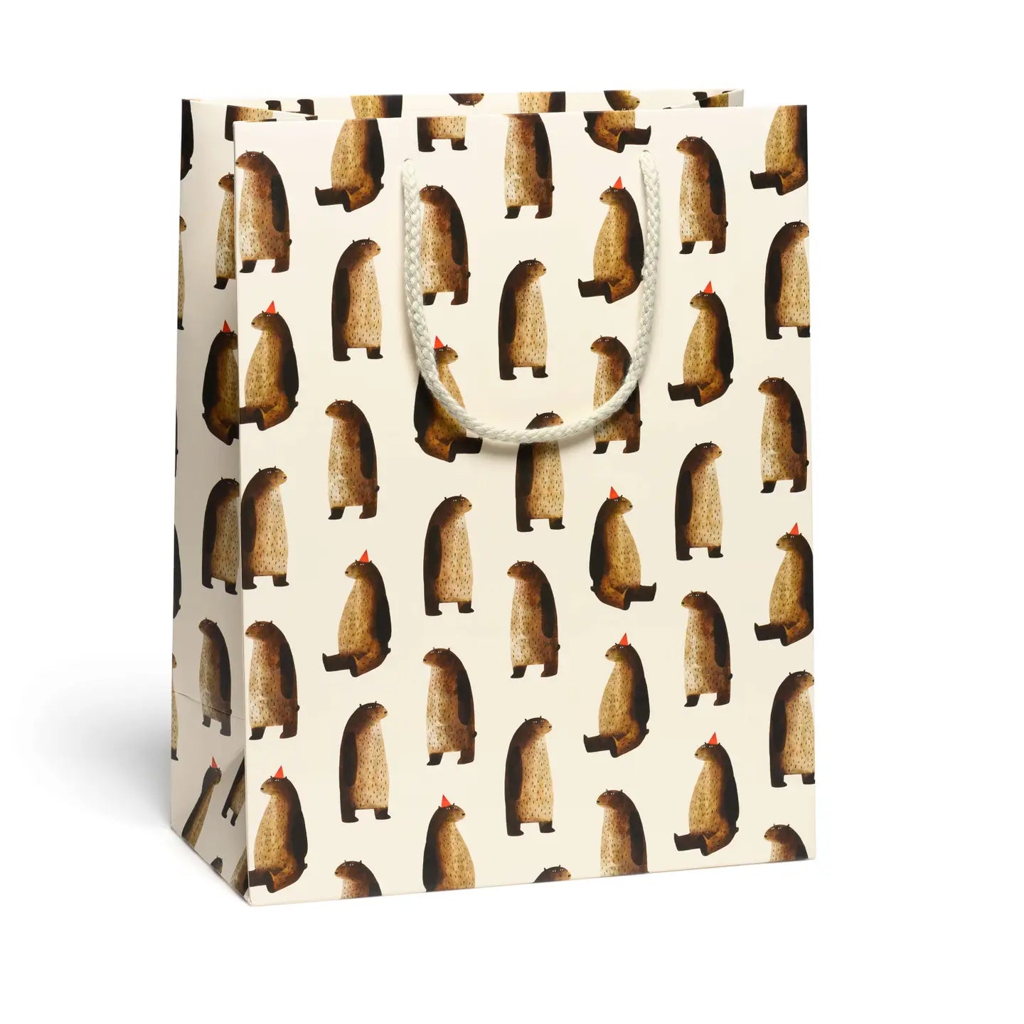 Large Gift Bag
