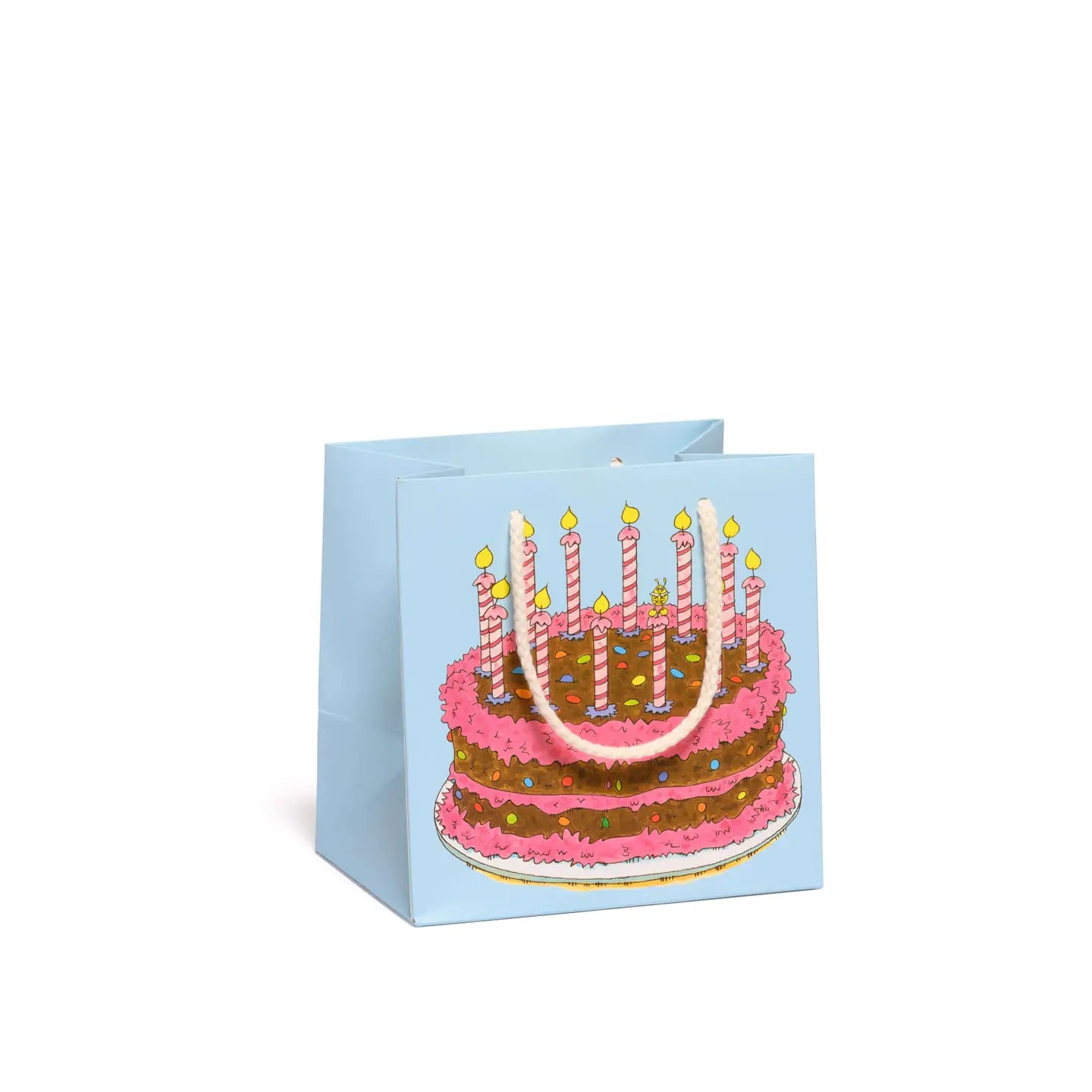 Small Square Gift Bag