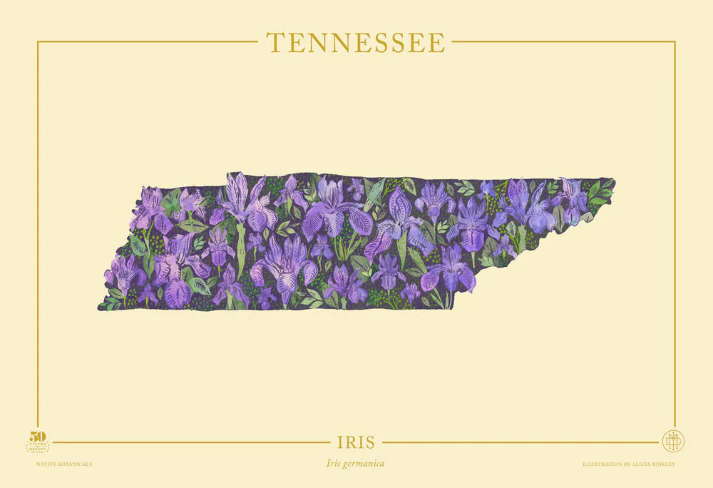 Tennessee Iris Print