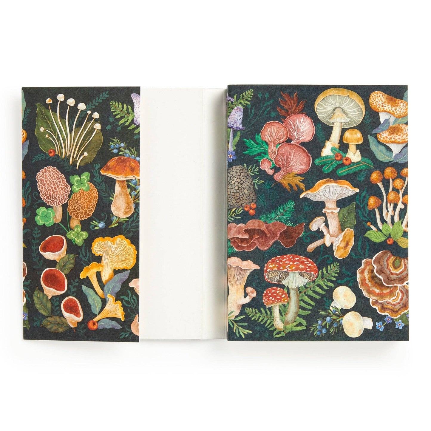 World of Mushrooms Notebook