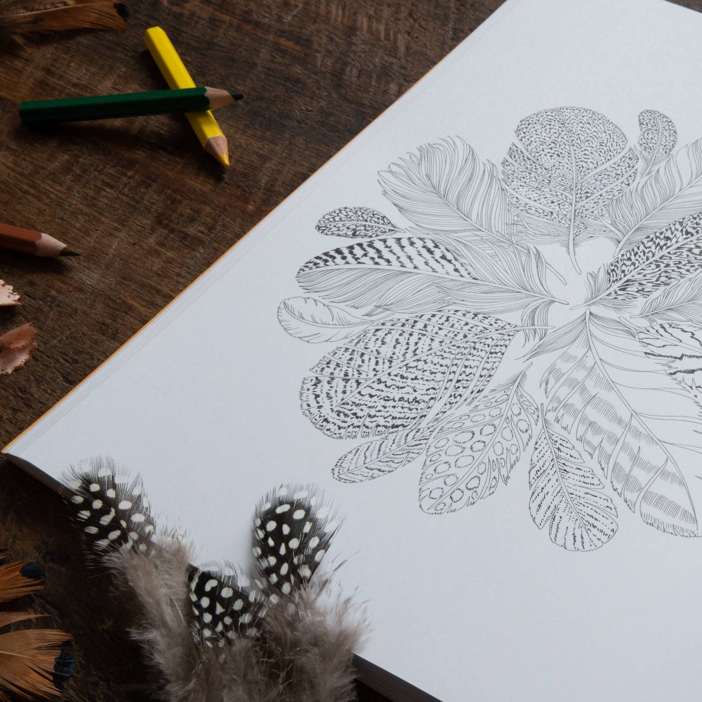 Leila Duly's Beautiful Planet Coloring Book