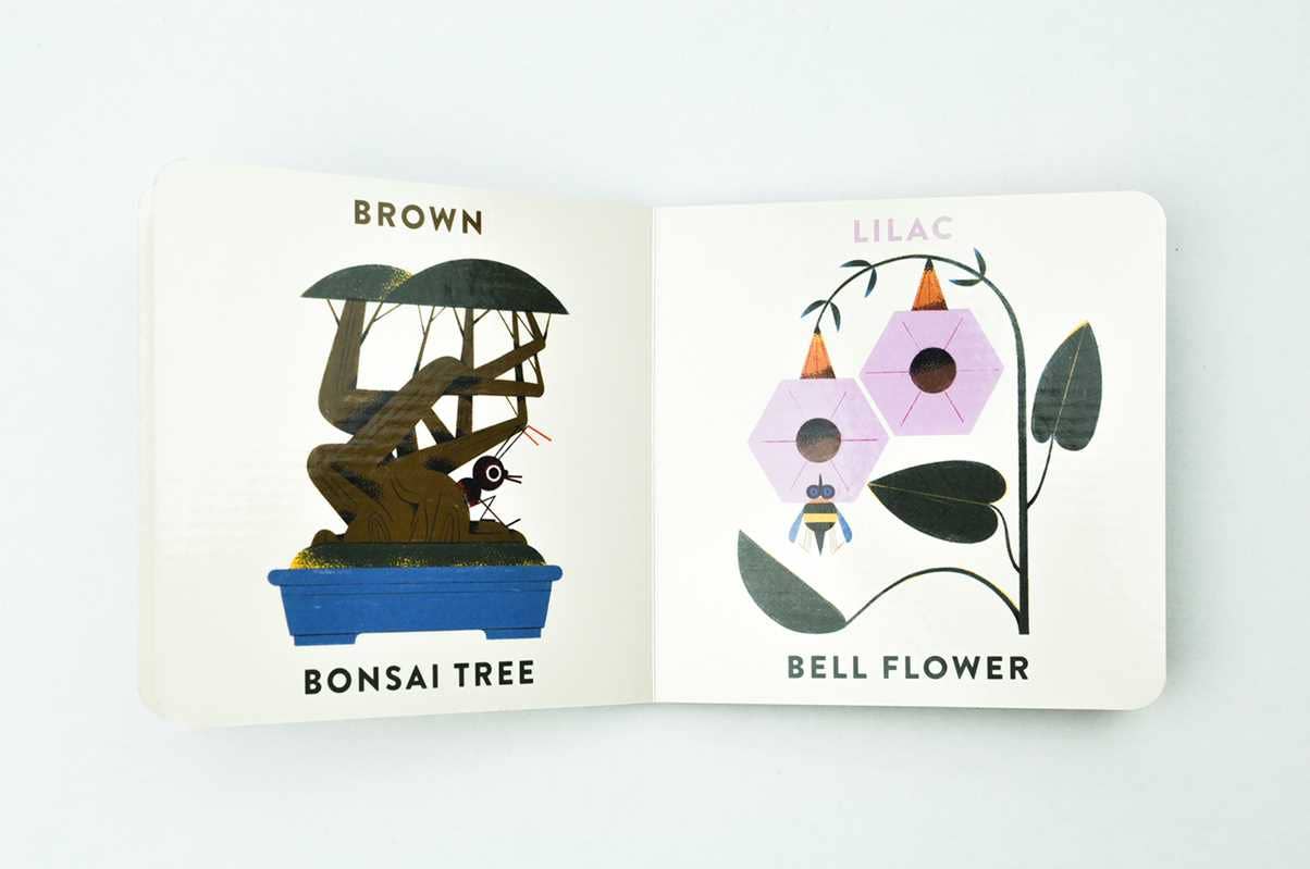 Colors in the Garden board book