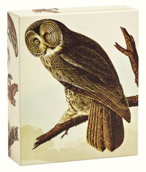 Audubon Owls Boxed Cards