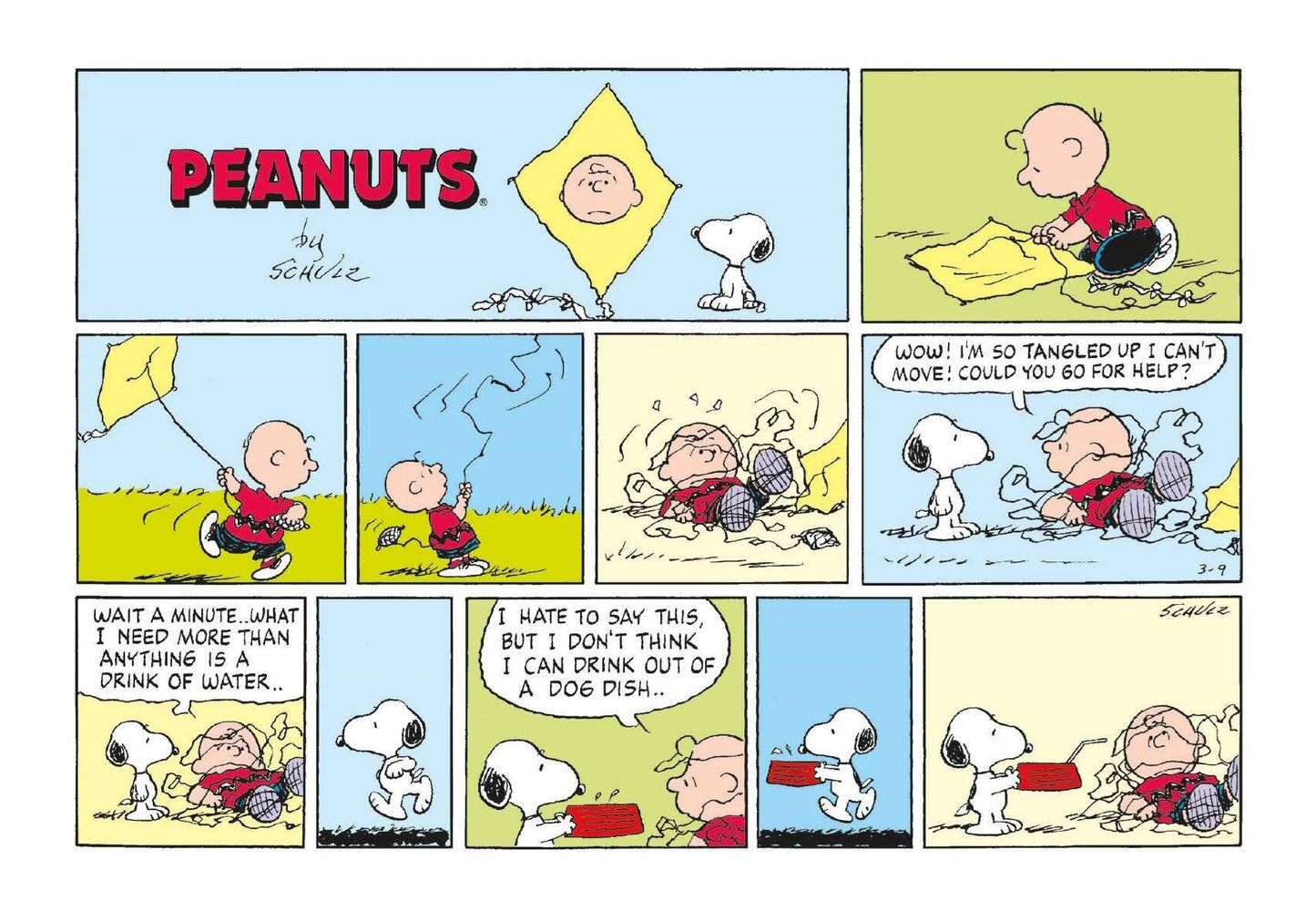 Peanuts: Happiness Is a Postcard