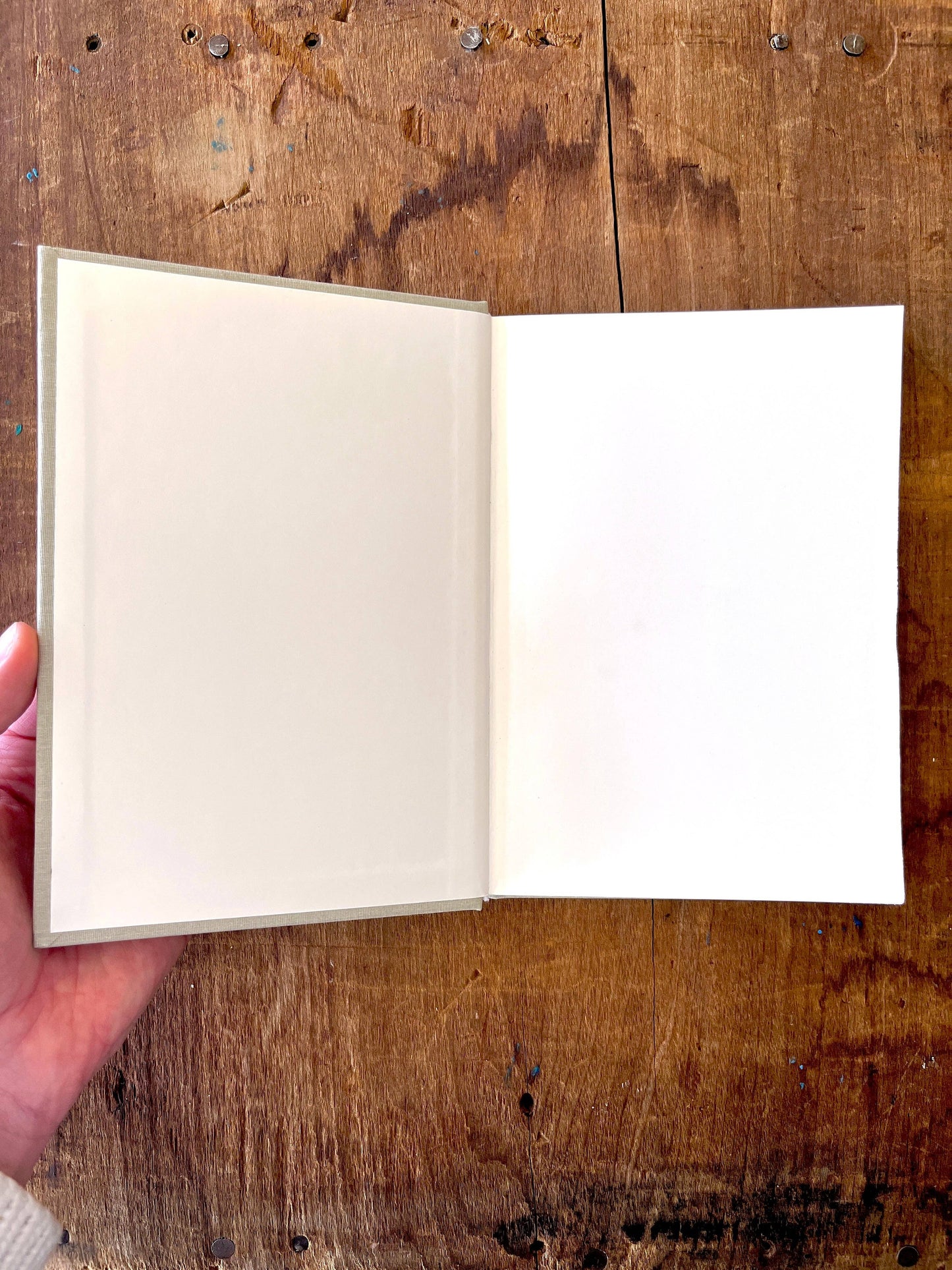 Muted Sage Foil Stamped Linen Journal