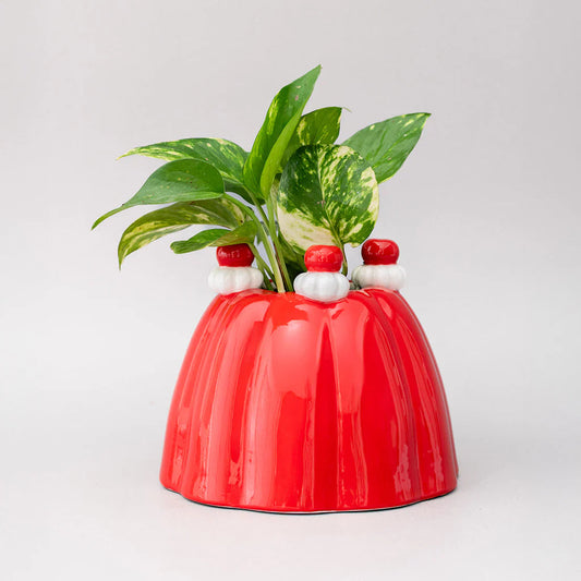 Jello Vase