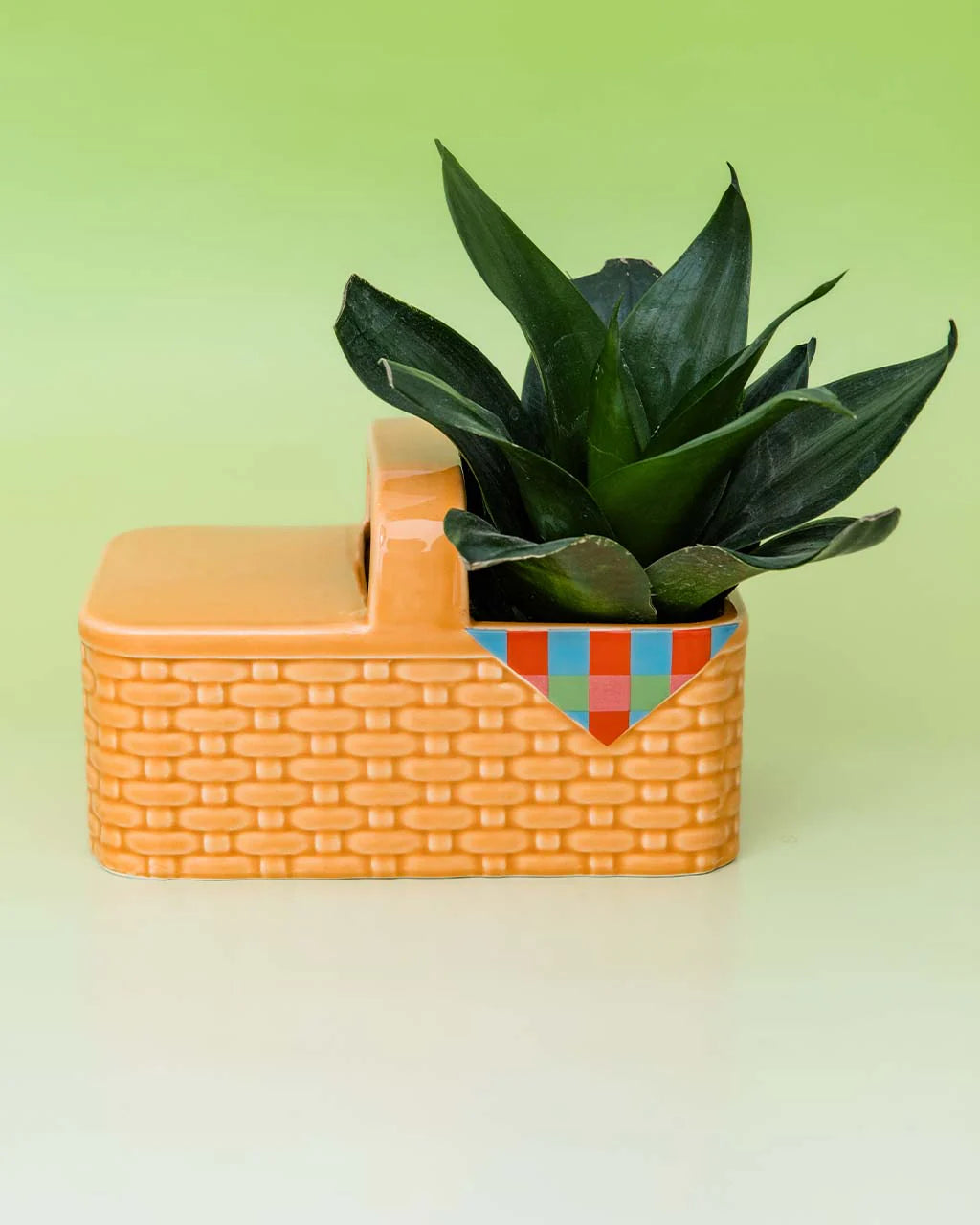 Picnic Basket Planter