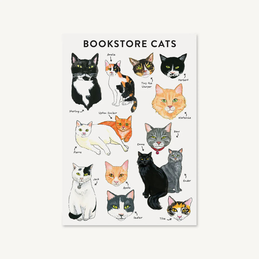 Bookstore Cats Journal