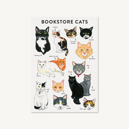 Bookstore Cats Journal