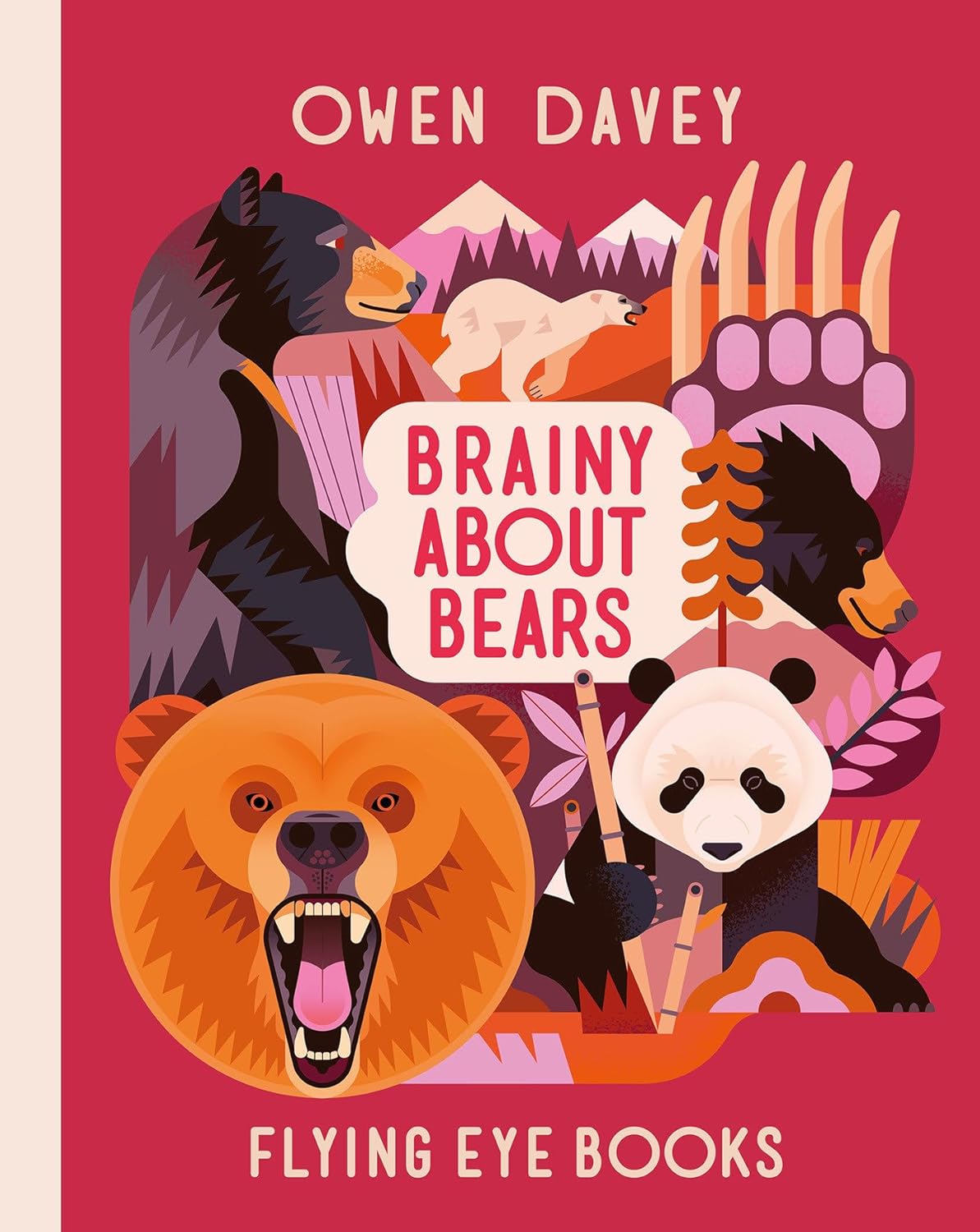 Brainy About Bears Book