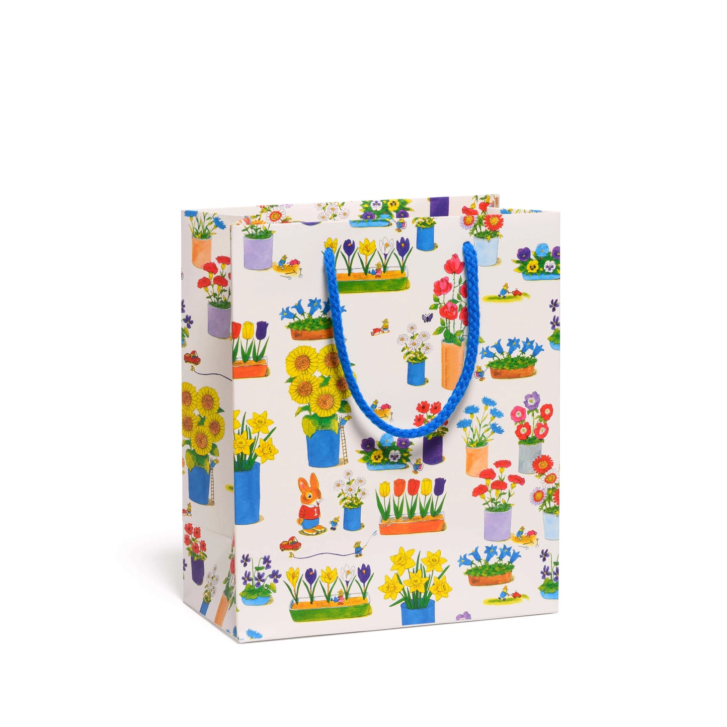 Medium Gift Bag
