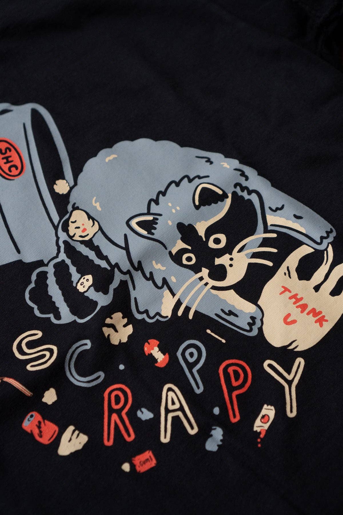 Scrappy Raccoon Boxy T-shirt