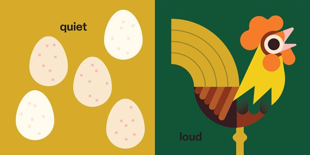 Touch and Trace: Opposites board book