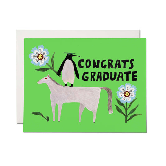 Penguin Pomp Graduation card