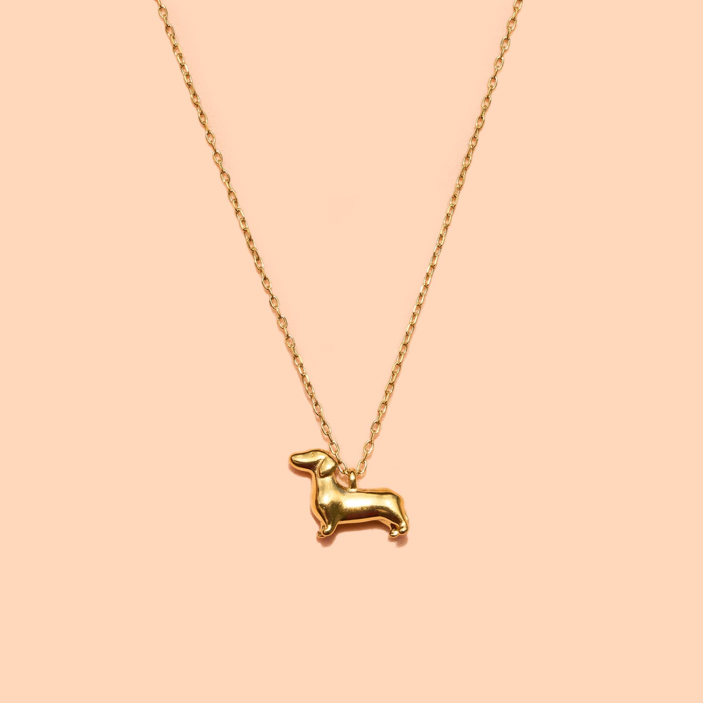 Weenie Trinket Necklace