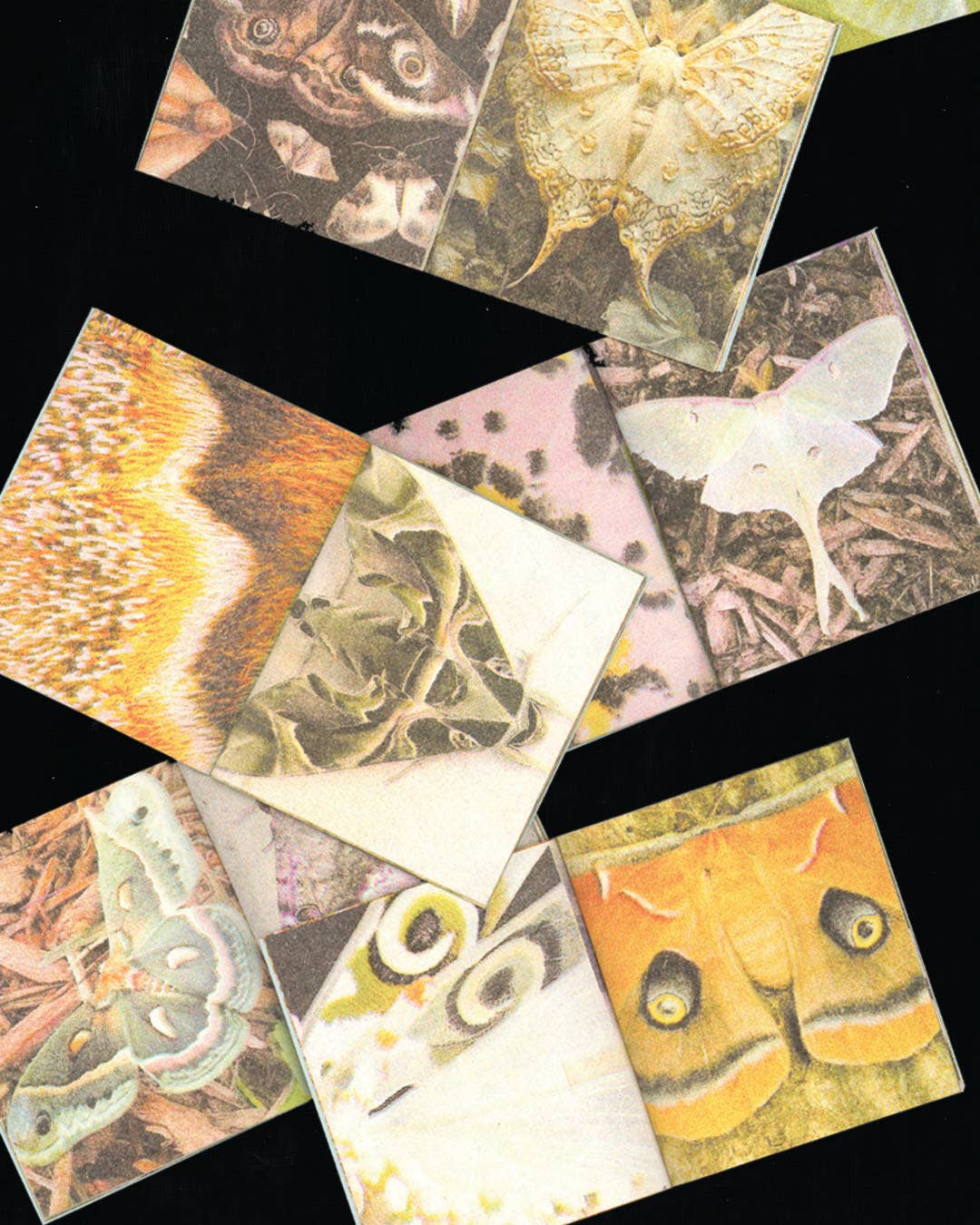 A Pocketful of Moths Risograph Mini Zine