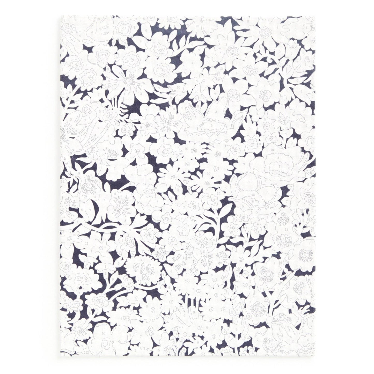 Liberty Paint by Number Kit