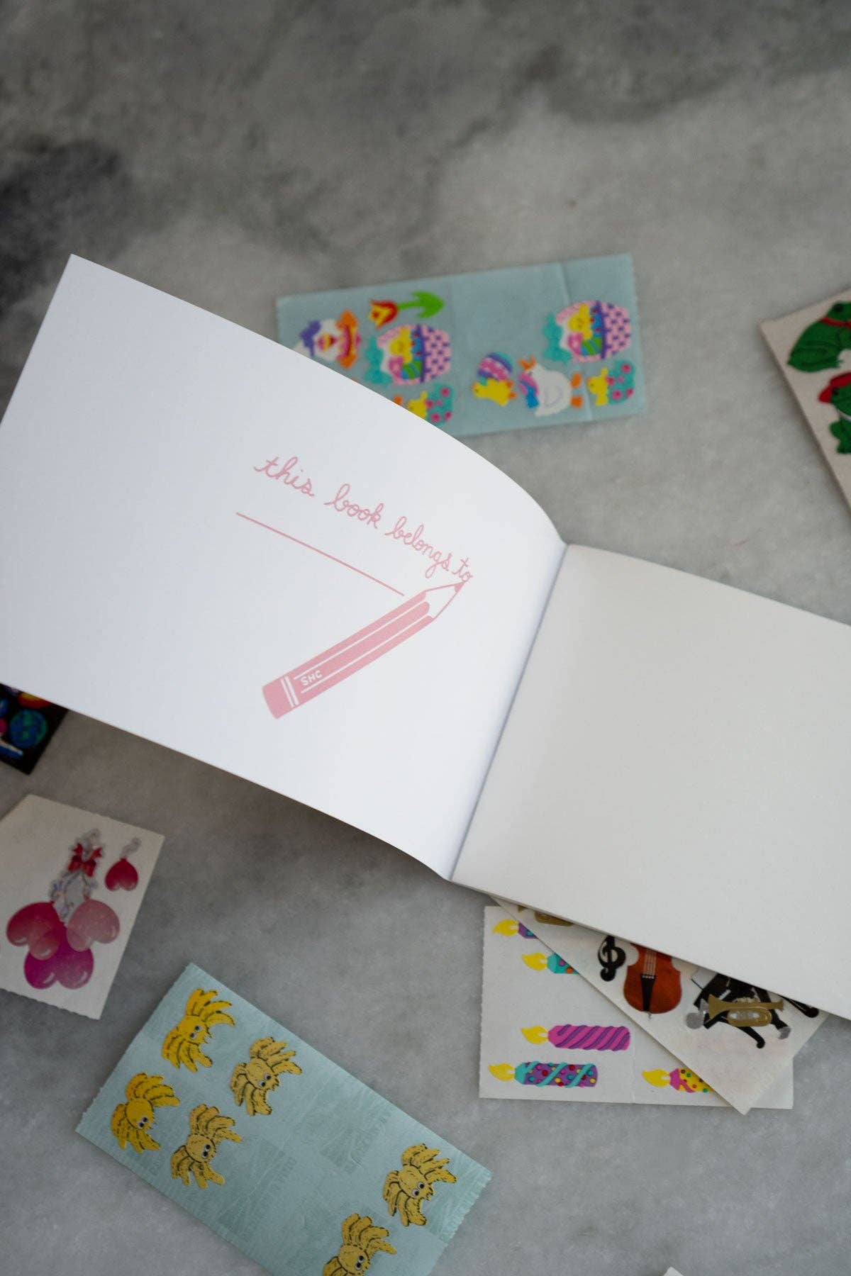 Scrappy Raccoon Pocket Sticker Book