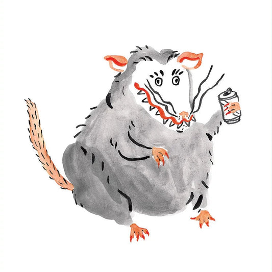 Drinking Opossum print