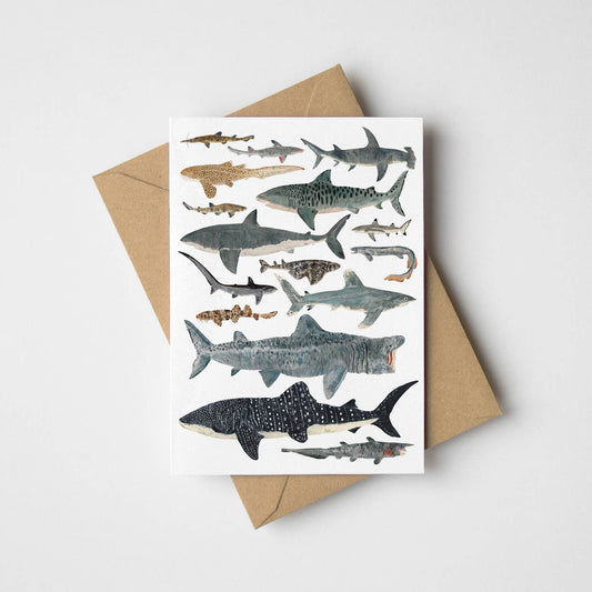 Sharks Greeting Card