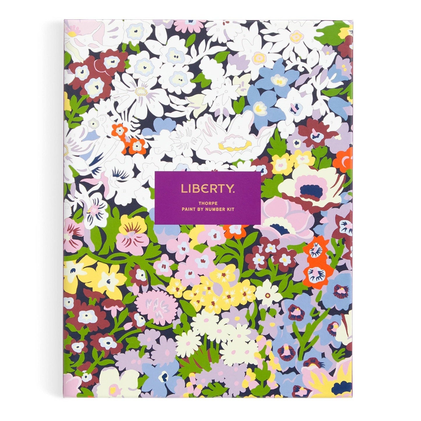 Liberty Paint by Number Kit