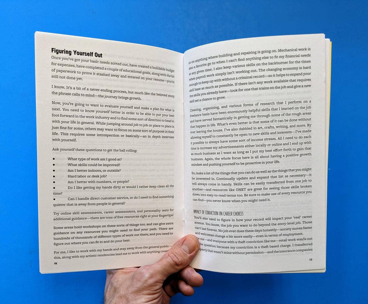Friendly Felon's Guide to Life After a Felony Zine