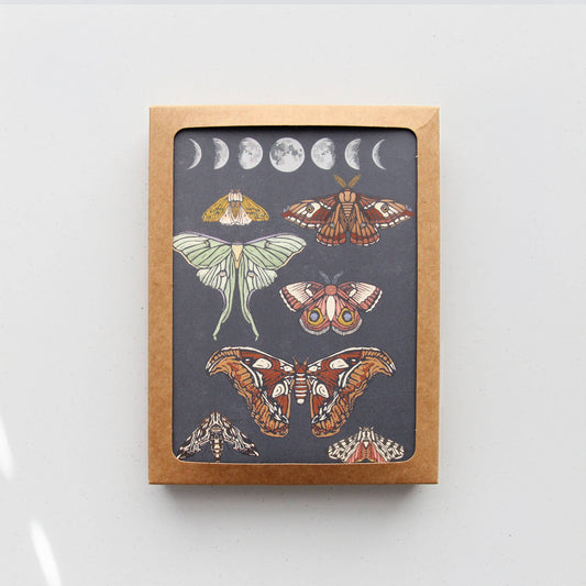 Moonlit Moths Boxed Cards