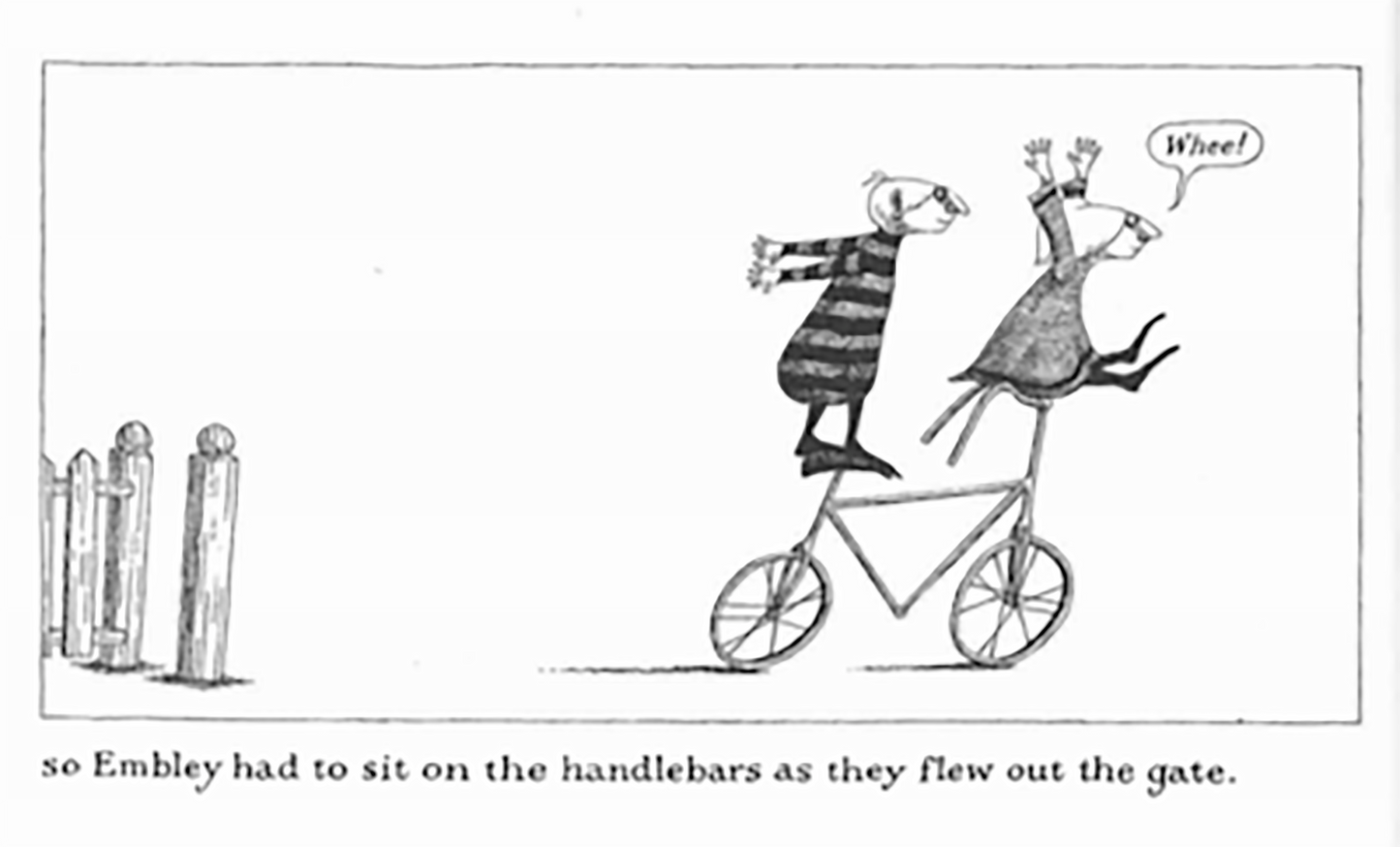 The Epiplectic Bicycle book