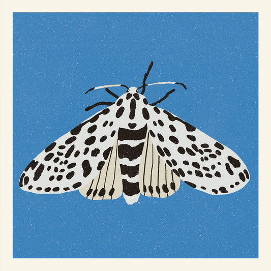 Tiger Moth print