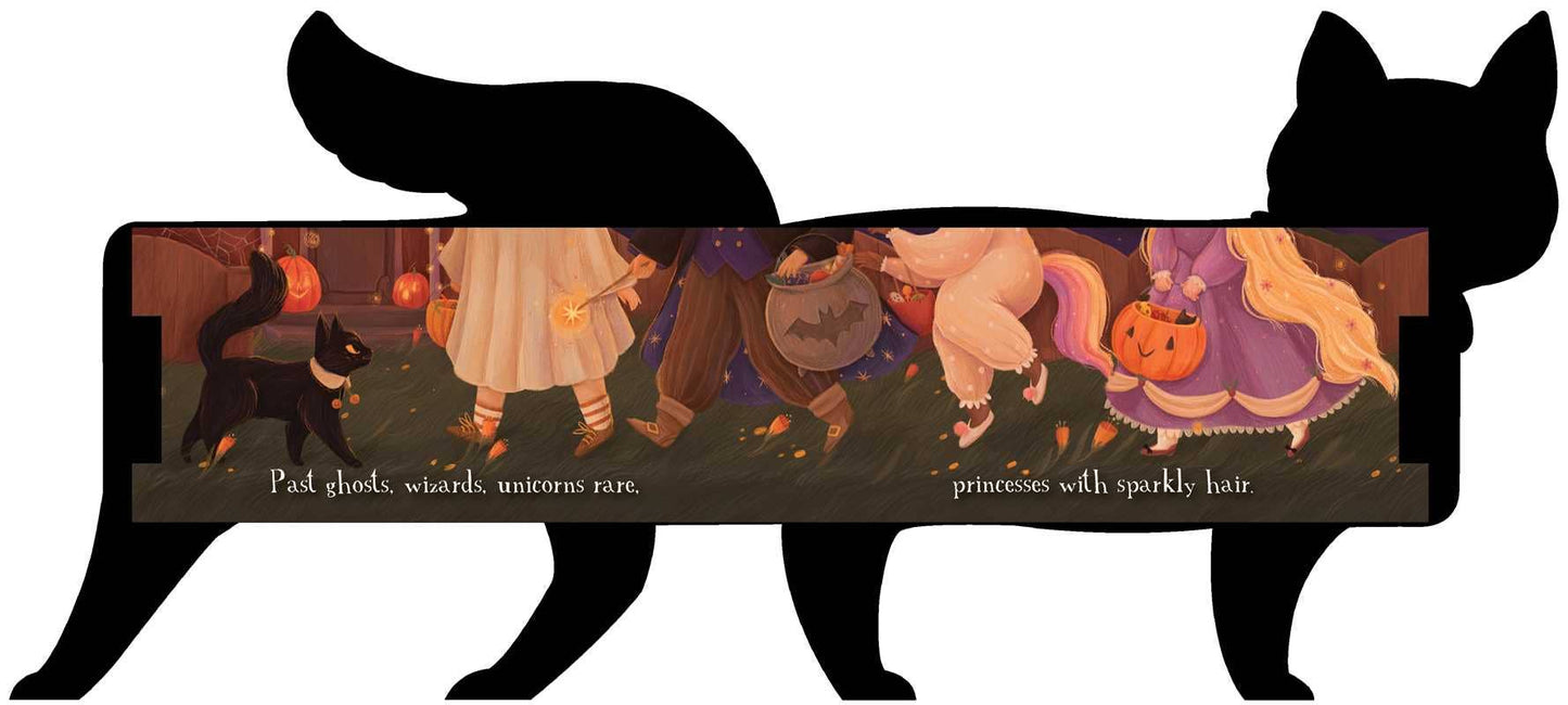 One Black Cat Board Book