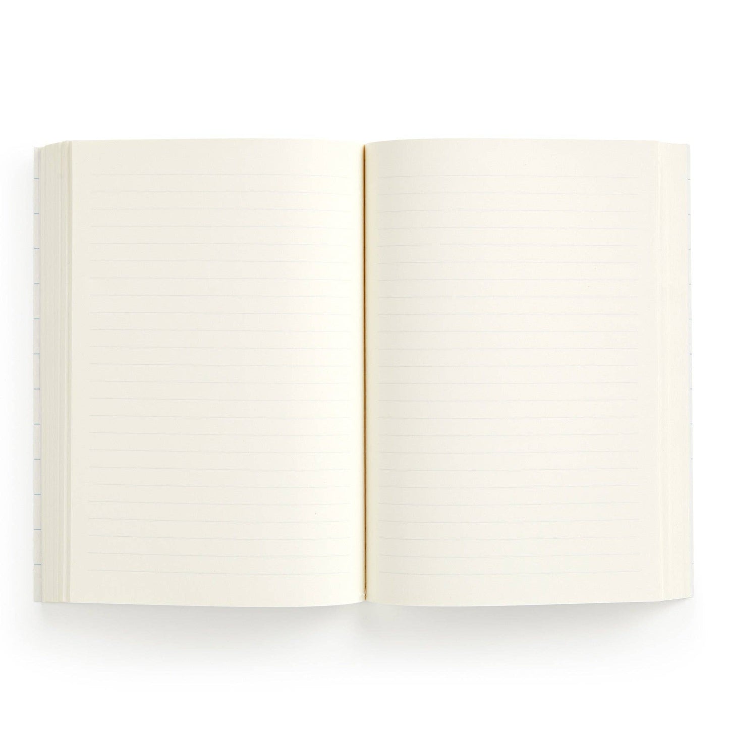 World of Mushrooms Notebook