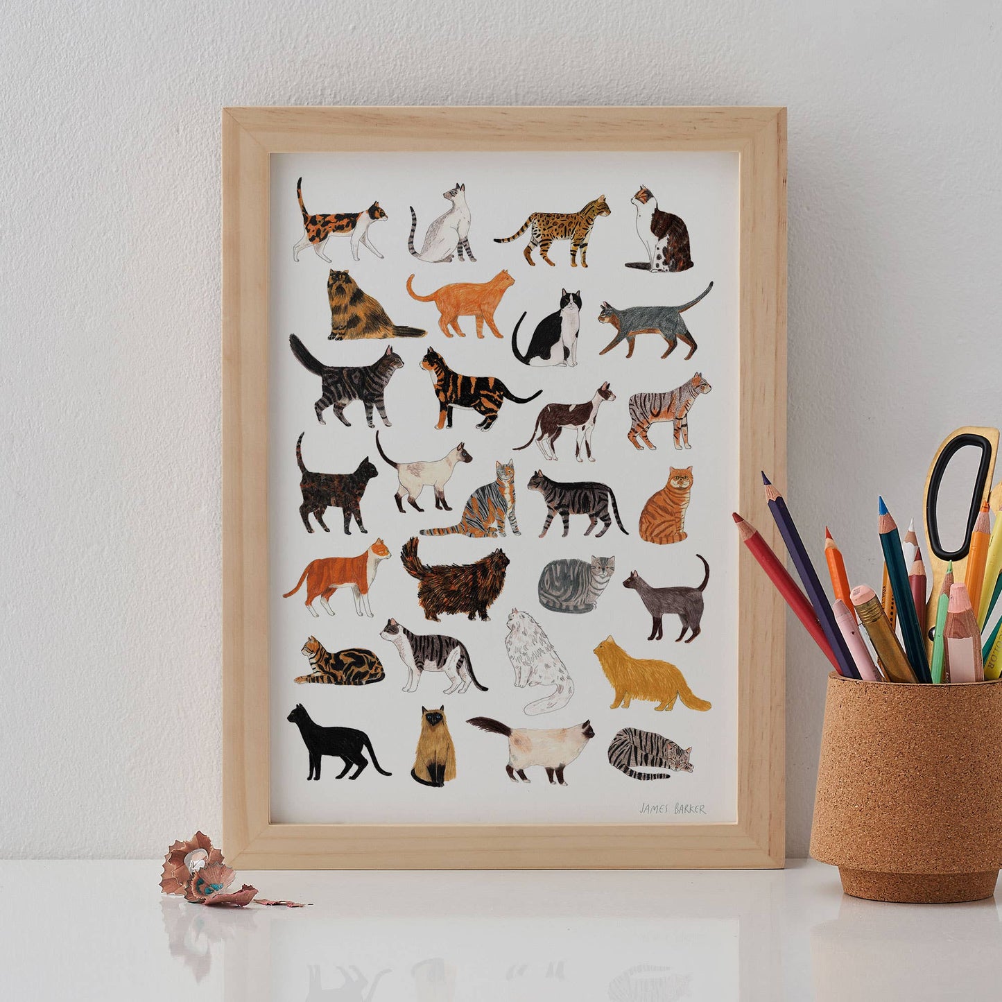 Cat Breeds Print