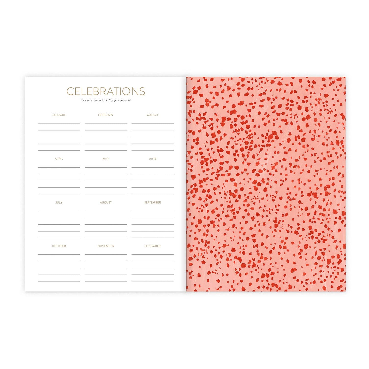 2025-2026 Shrooms On the Go Planner