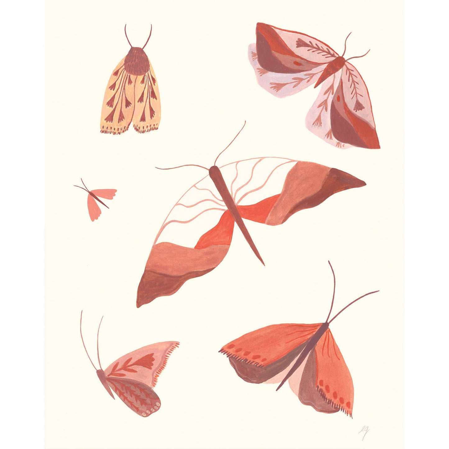 Moth Study Print