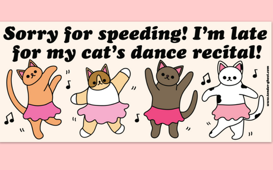 Cat's Dance Recital Bumper Sticker