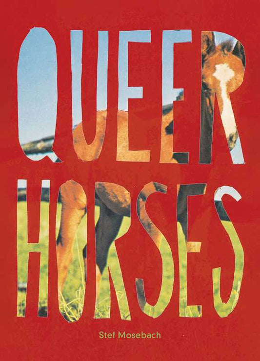 Queer Horses Postcard Book