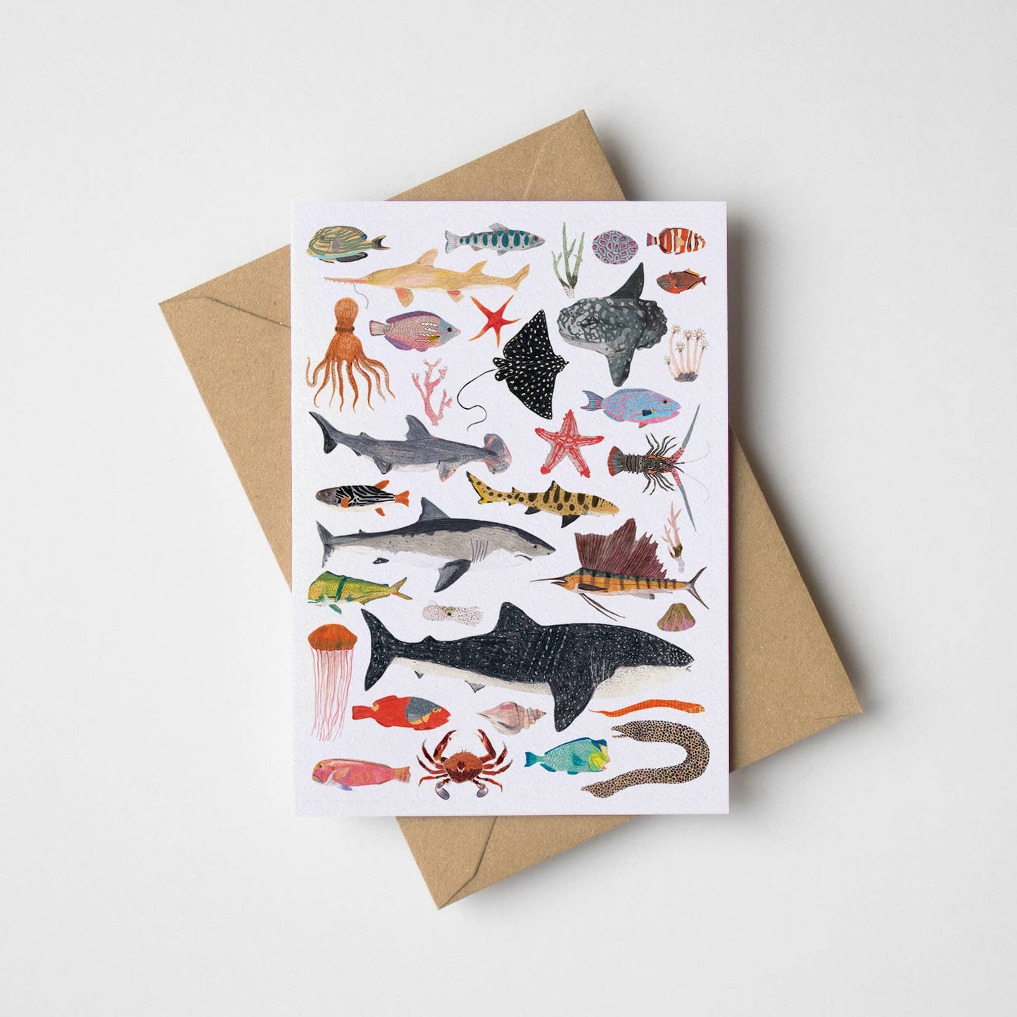 Sea Life Greeting Card