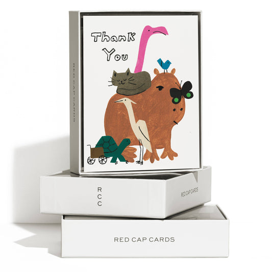 Capybara Friend Boxed Set