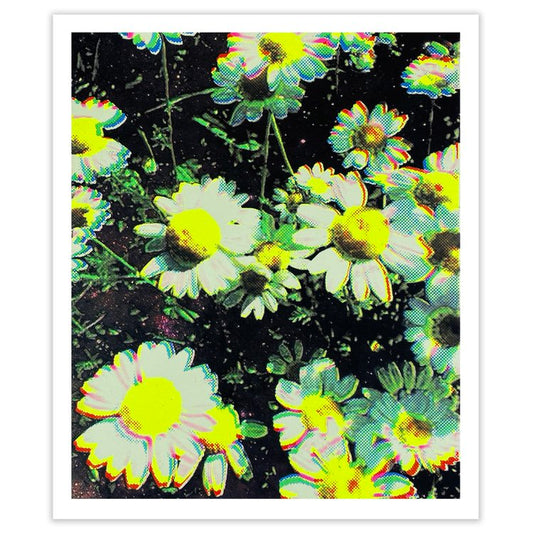 Flower Study #5 print