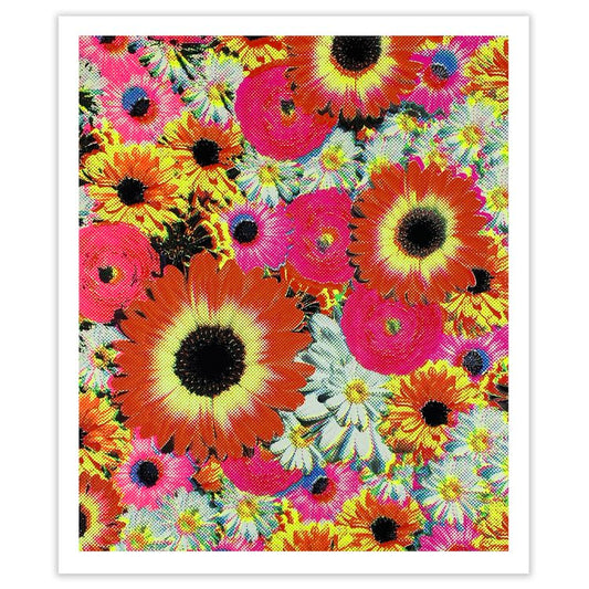 Flower Study #9 print
