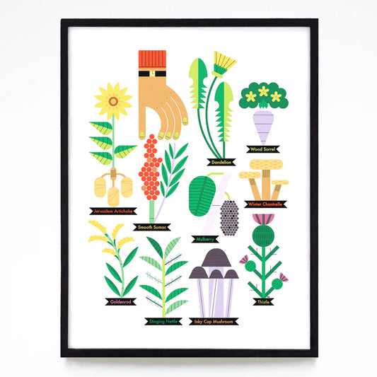 Forageable Plants 18x24"