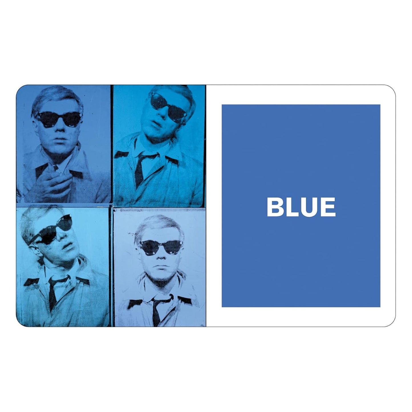 What Colors Do You See? board book
