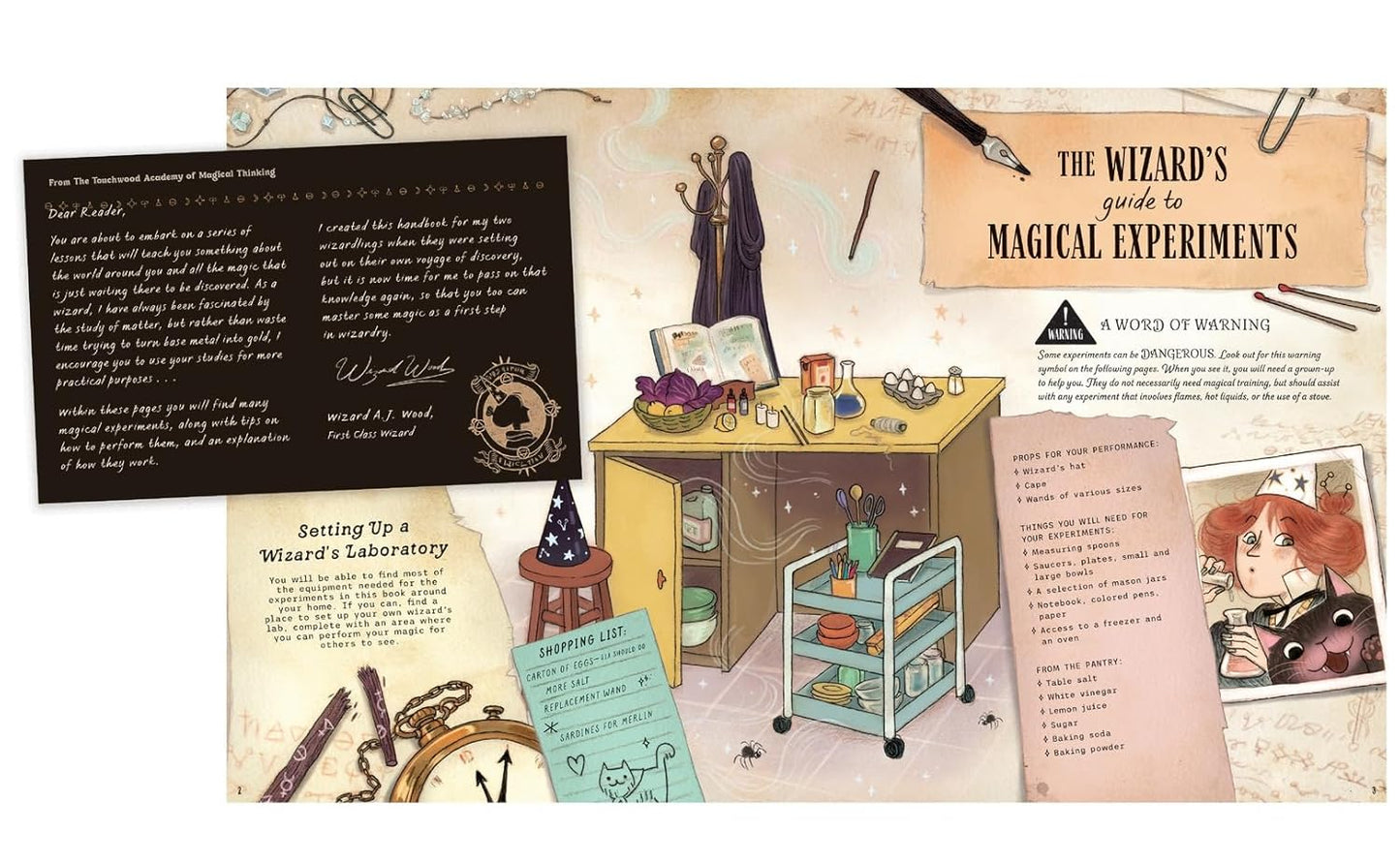 The Wizard's Guide to Magical Experiments book