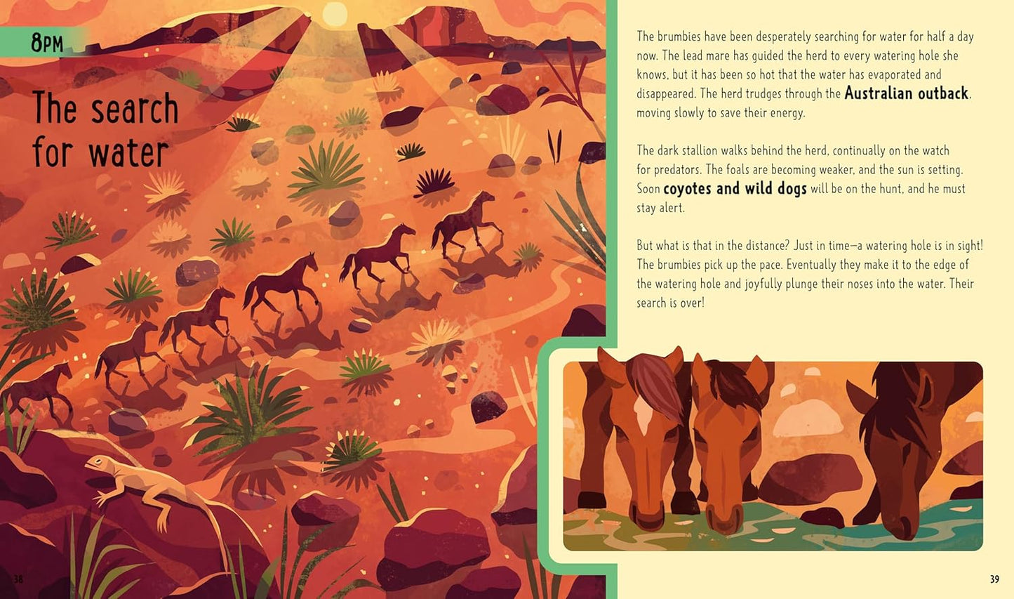 Horses: A Day in the Life book