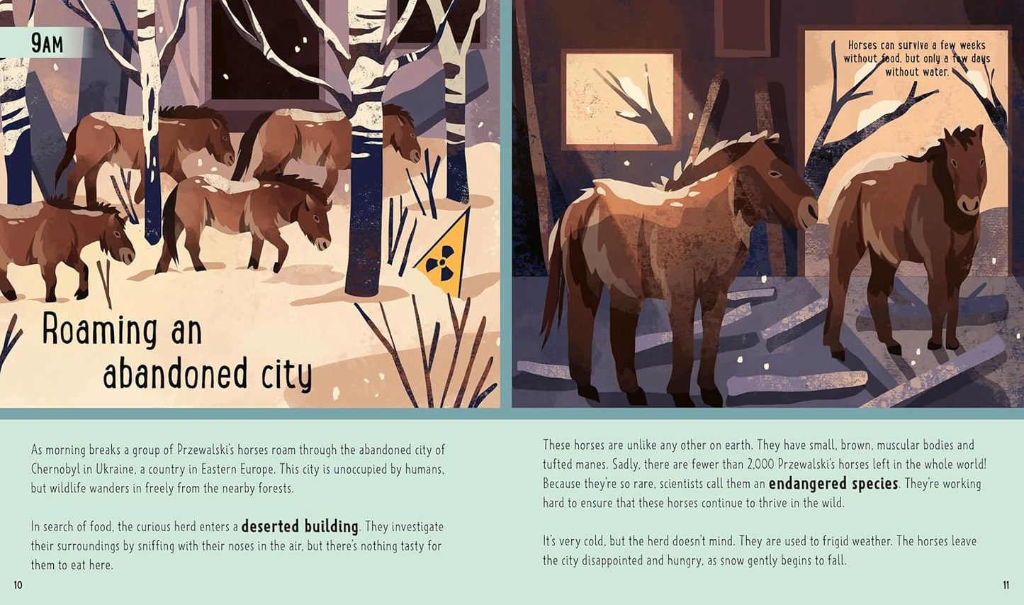 Horses: A Day in the Life book