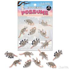 Itty Bitty Possums